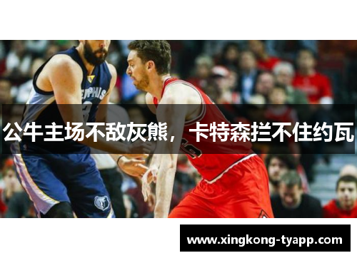 公牛主场不敌灰熊，卡特森拦不住约瓦